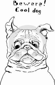 Portrait of cool Pug dog. Hand drawn dog. Sketch. Vector illustration