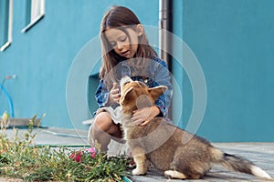 Portrait of corgi puppy sitting near little girl with long hair, looking at pet, stroking fur near house in yard.