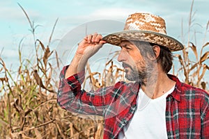 Portrait of corn farmer in ripe maize crop field