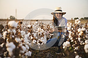 Portrait Cotton farmer woman checks the field with tablet.