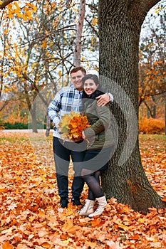 Portrait of a couple in an autumn city park - happy people posing together near big tree, beautiful nature with yellow leaves as