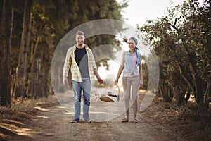 Portrait of couple carrying basket while walking on dirt road at olive farm