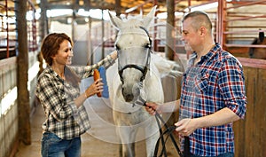 Portrait of couple cleaning horse while standing at stabling