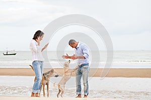 Portrait of a couple with dogs