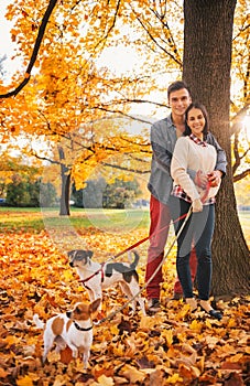 Portrait of couple with two little dogs on the walk in park
