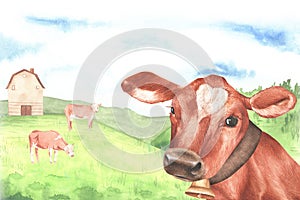 Portrait of a cow with a bell against the background of grazing cows on green hills. Watercolor illustration. For the