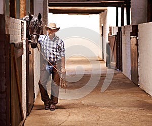 Portrait, cowboy and man at barn with horse in a stable in Texas with mockup space. Animal, rancher and confident male