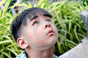 Portrait of a Curious Asian Boy Looking Up into the Sky