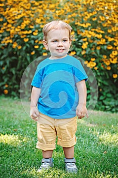 Portrait of cute adorable laughing smiling white Caucasian baby boy child standing among yellow flowers outside in garden park