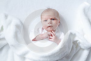 Portrait of cute adorable newborn baby child