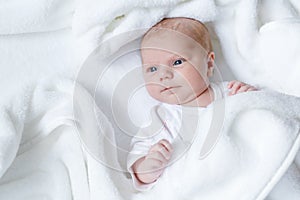 Portrait of cute adorable newborn baby child