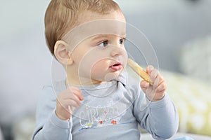 Portrait of cute baby boy eating biscuit