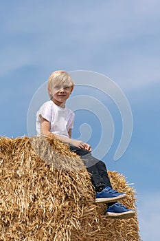 Portrait of cute blond schoolboy on haystack on blue sky background. Ingathering. Vertical frame