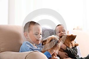 Portrait of cute boys with funny Brussels Griffon dogs. Loyal friends