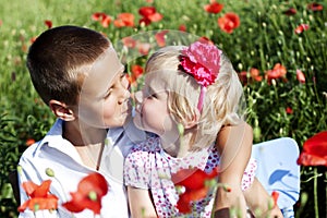 Portrait of cute brother and sister in poppy field