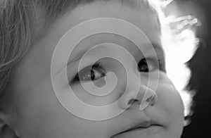 Portrait of a cute child boy. Close up caucasian Baby kids cropped macro face. Closeup head of funny kid outdoor.