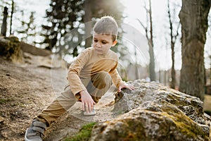 Portrait of cute curious little boy in nautre, autumn concept.