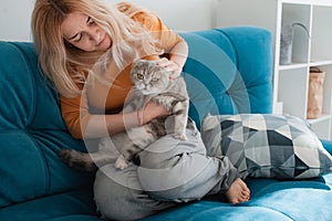 Portrait of a cute domestic purebred cat lying with the owner of the house.