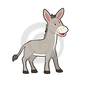 Portrait of cute farm donkey