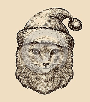 Portrait of a cute fluffy cat in a Christmas hat. Sketch vintage vector illustration