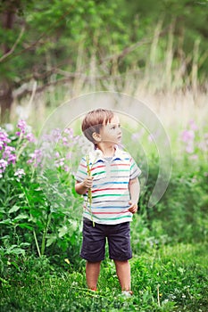 Portrait of a cute funny little boy toddler standing in the forest field meadow with dandelion flowers in hands