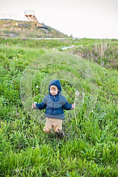 Portrait of a cute funny little boy toddler standing in the forest field meadow with dandelion flowers in hands and blowing them