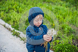 Portrait of a cute funny little boy toddler standing in the forest field meadow with dandelion flowers in hands and blowing them