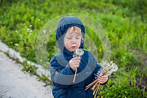 Portrait of a cute funny little boy toddler standing in the forest field meadow with dandelion flowers in hands and blowing them