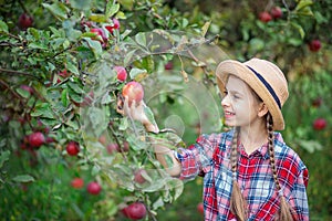 Portrait of a cute girl in a farm garden with a red apple