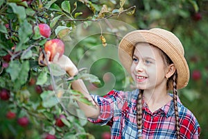 Portrait of a cute girl in a farm garden with a red apple