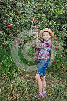 Portrait of a cute girl in a farm garden with a red apple