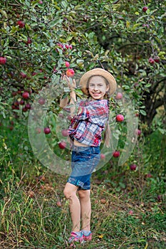 Portrait of a cute girl in a farm garden with a red apple