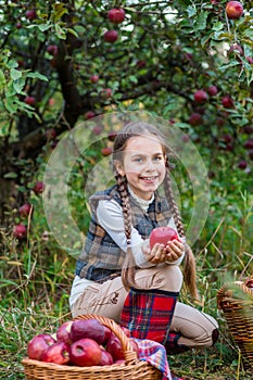 Portrait of a cute girl in a farm garden with a red apple