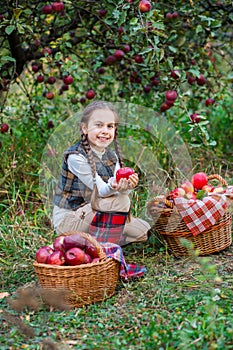 Portrait of a cute girl in a farm garden with a red apple