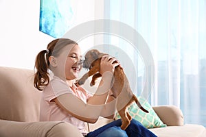 Portrait of cute girl with funny Brussels Griffon dog at home. Loyal friends