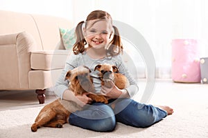 Portrait of cute girl with funny Brussels Griffon dogs at home