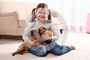 Portrait of cute girl with funny Brussels Griffon dogs at home