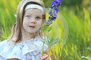 Portrait of a cute girl with lupine flowers in her hands