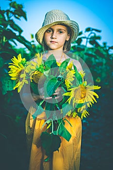 Portrait of cute girl in sunflowers field