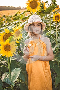Portrait of cute girl in sunflowers field