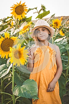 Portrait of cute girl in sunflowers field