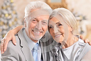 Portrait of cute hugging senior couple on blurred background