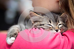 Portrait of a cute kitten sleeping on her shoulder