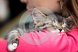 Portrait of a cute kitten sleeping on shoulder