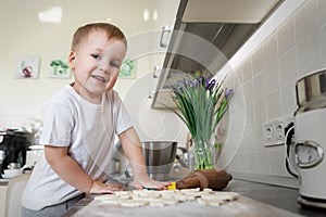 Portrait cute little blond toodler caucasian boy kid cooking sweet tasty cookies gift for mother's day at home kitchen