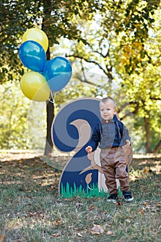 Portrait of a cute little boy on the background of nature. Birthday of a two year old boy. Decor with the number two with lion and