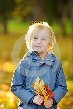 Portrait of a cute little boy with maple leaves in autumn park. Preschooler child having fun during stroll in fall forest. Baby
