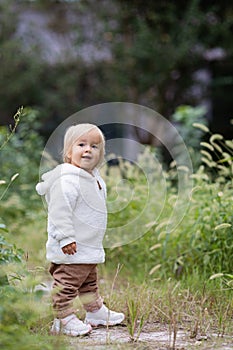 Portrait of cute little caucasian baby girl one year old takes the first steps and learns to walk in park at autumn