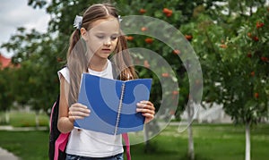 Portrait of a cute little girl outdoors. A schoolgirl is holding a book. The concept of education