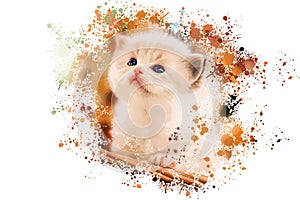 Portrait of a cute little white kitten painted in watercolors.